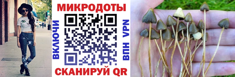 блэк спрут рабочий сайт  Сольвычегодск  Галлюциногенные грибы Psilocybe 